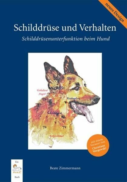 Schilddrüse und Verhalten: Schilddrüsenunterfunktion beim Hund