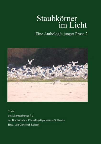 Staubkörner im Licht