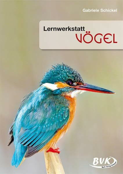 Lernwerkstatt Vögel