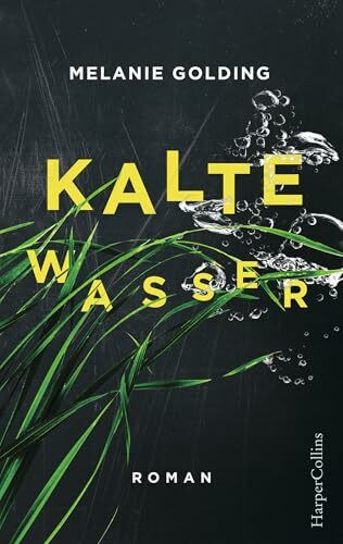 Kalte Wasser: Mysterythriller