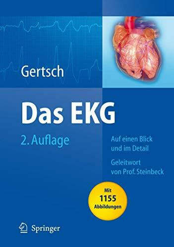 Das EKG: Auf einen Blick und im Detail