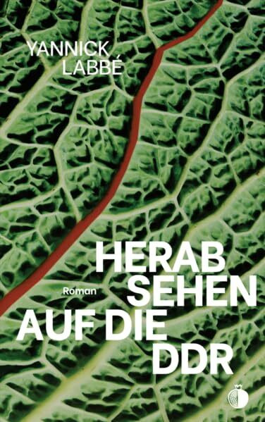 Herabsehen auf die DDR