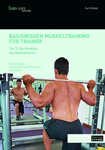 Basiswissen für Muskeltraining Teil 2: Die Muskeln des Unterkörpers