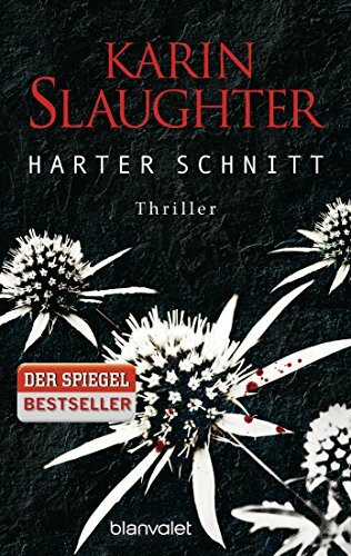 Harter Schnitt: Thriller (Georgia-Serie, Band 3)