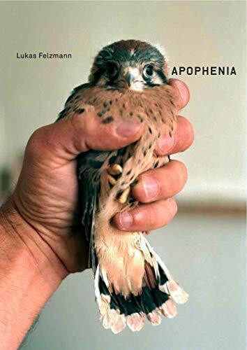 Lukas Felzmann. Apophenia: Ausst.Kat. Codax Publishers, Zürich