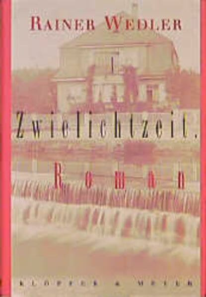 Zwielichtzeit: Roman
