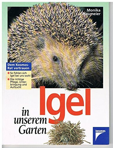 Igel in unserem Garten