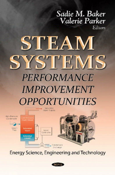 Steam Systems: Performance Improvement Opportunities (Energy Science, Engineering and Technology: Energy Policies, Politics and Prices)
