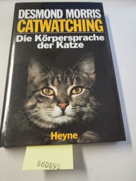 Catwatching: Die Körpersprache der Katze