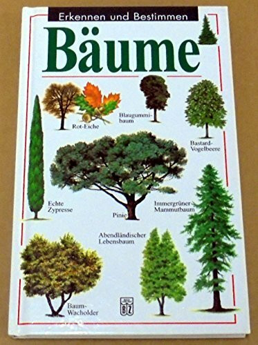 Bäume
