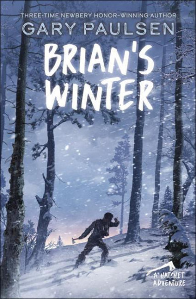 Brian's Winter