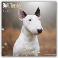 Bull Terriers - Bull Terrier 2022 - 18-Monatskalender mit freier DogDays-App