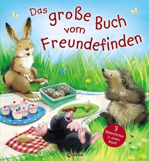 Das große Buch vom Freundefinden