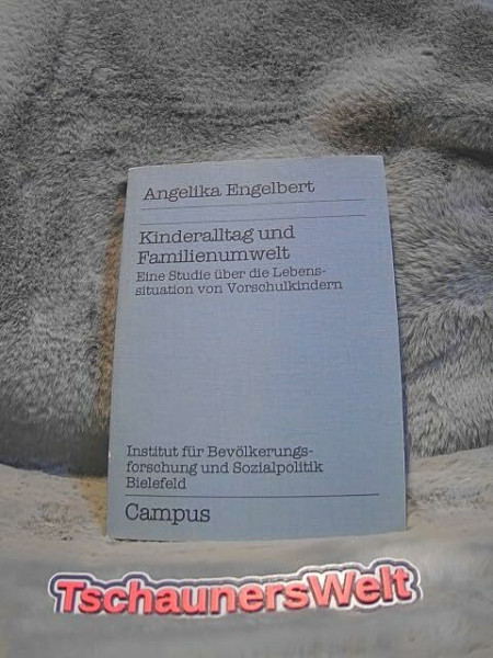 Kinderalltag und Familienumwelt: Eine Studie über die Lebenssituation von Vorschulkindern (Forschungsberichte des IBS)