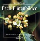 Bach-Blütenbilder für Harmonisierung, Zentrierung, Meditation