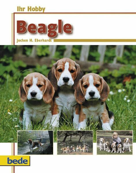 Ihr Hobby, Beagle