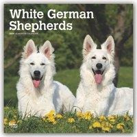 White German Shepherds - Weiße Schäferhunde 2020 - 18-Monatskalender mit freier DogDays-App