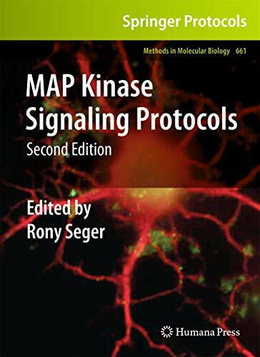 MAP Kinase Signaling Protocols (Methods in Molecular Biology, 661, Band 661)