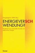 Energiever(sch)wendung. Handbuch zum rationellen Einsatz von elektrischer Energie