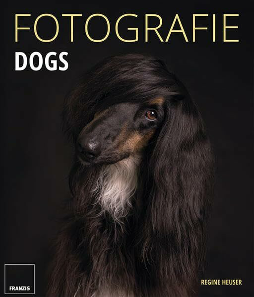 FOTOGRAFIE DOGS