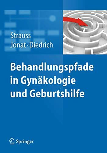 Behandlungspfade in Gynäkologie und Geburtshilfe: Mit 380 Behandlungspfaden