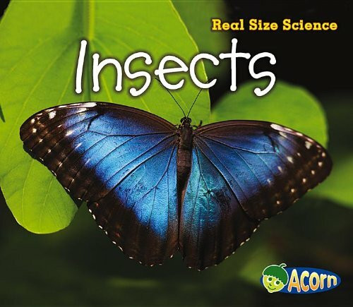 Insects (Acorn: Real Size Science)