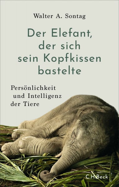 Der Elefant, der sich sein Kopfkissen bastelte: Persönlichkeit und Intelligenz der Tiere