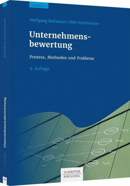 Unternehmensbewertung: Prozess, Methoden und Probleme