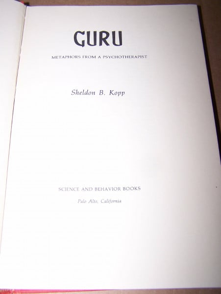 Guru; Metaphors from a Psychotherapist