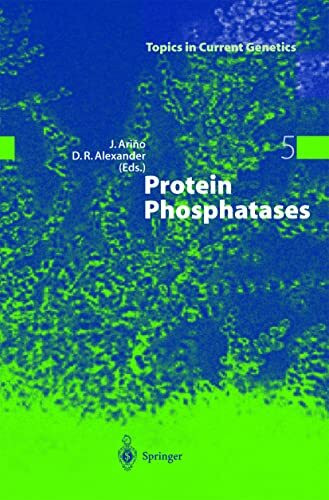 Protein Phosphatases (Topics in Current Genetics, 5, Band 5)