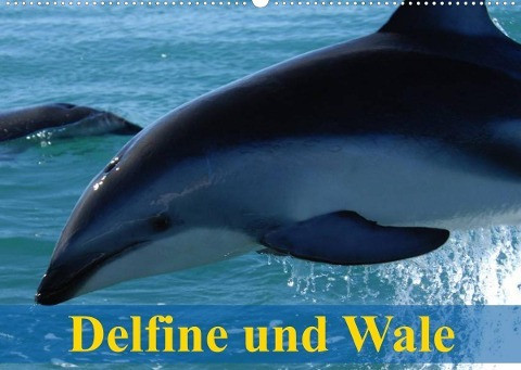 Delfine und Wale (Wandkalender 2022 DIN A2 quer)