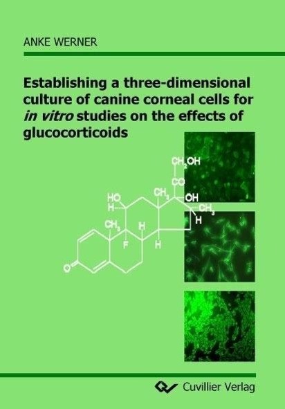 Establishing a three-dimensional culture of canine corneal cells for in vitro studies on the effects