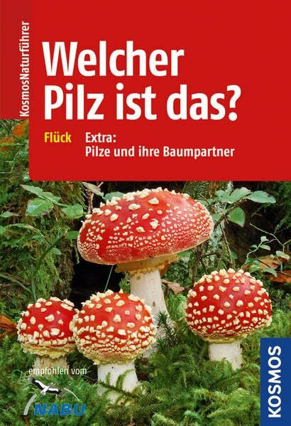 Welcher Pilz ist das?: Extra. Pilze und ihre Baumpartner