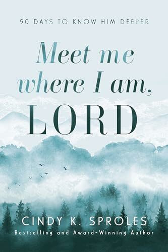 Meet Me Where I Am, Lord: 90 Days to Know Him Deeper