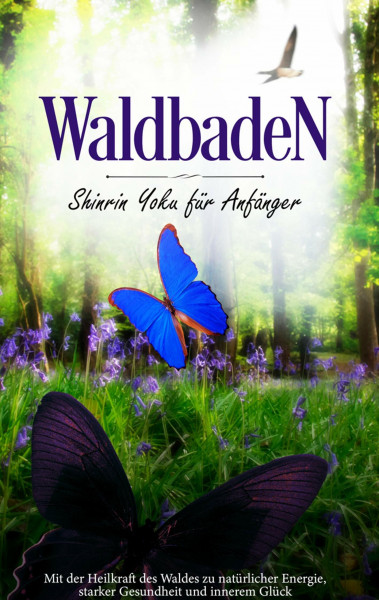 Waldbaden: Shinrin Yoku für Anfänger