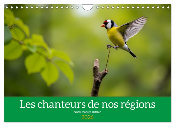 Les chanteurs de nos régions - Notre nature intime (Calendrier mural 2026 DIN A4 horizontal), CALVENDO calendrier mensuel: À la découverte de notre nature (CALVENDO Nature)