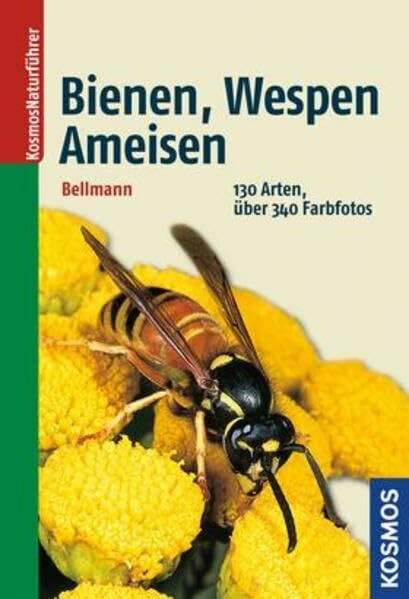 Bienen, Wespen, Ameisen: 130 Arten 430 Farbfotos