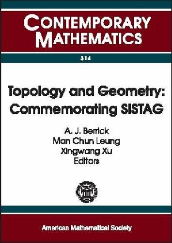Topology and Geometry: Commemorating Sistag : Singapore International Symposium in Topology and Geometry, Sistag July 2-6, 2001, National University of Singapore, Singapore (Contemporary Mathematics)