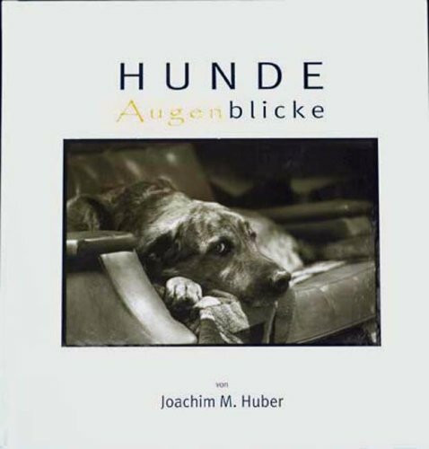Hunde Augenblicke