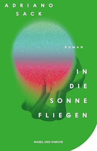 In die Sonne fliegen: Roman | Eine zeitgemäße Satire auf die Welt der Schönen und Reichen | Provokant, wild, lustig und tragisch zugleich