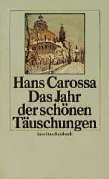 Das Jahr der schönen Täuschungen (insel taschenbuch)