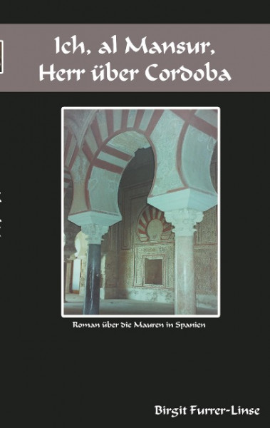 Ich, al Mansur, Herr über Cordoba