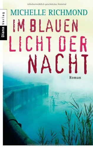 Im blauen Licht der Nacht: Roman