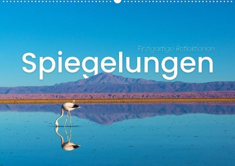 Spiegelungen - Einzigartige Reflektionen (Wandkalender 2022 DIN A2 quer)