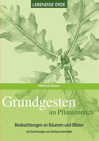 Grundgesten im Pflanzenreich: Beobachtungen an Pflanzen und Bäumen. Mit Zeichnungen von Barbara Hanneder