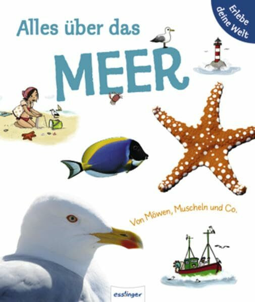 Alles über das Meer. Von Möwen, Muscheln & Co: Von Möwen, Muscheln und Co. (Erlebe deine Welt)