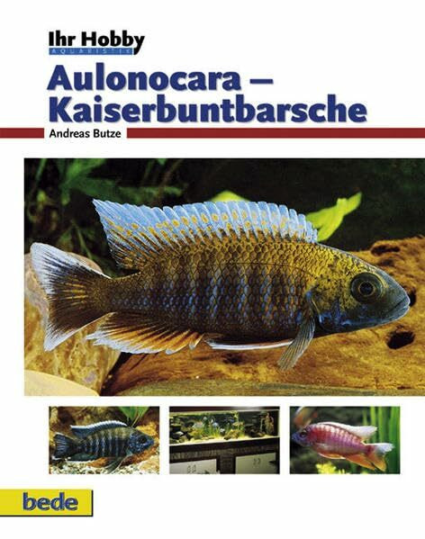 Aulonocara - Kaiserbuntbarsche, Ihr Hobby