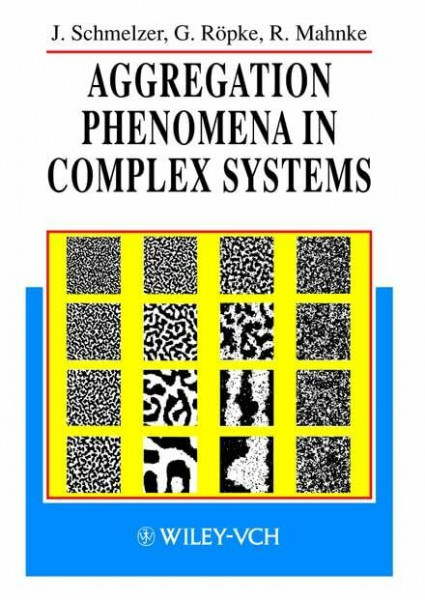 Aggregation Phenomena in Complex Systems