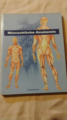 Menschliche Anatomie