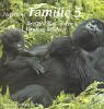 Reinhardt, Friedrich Familie 5, Berggorillas In Den Virunga-Wäldern